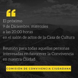 COMISIÓN DE CONVIVENCIA CIUDADANA