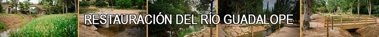 Banner-Web-Restauracion-Rio-Guadalope.jpg